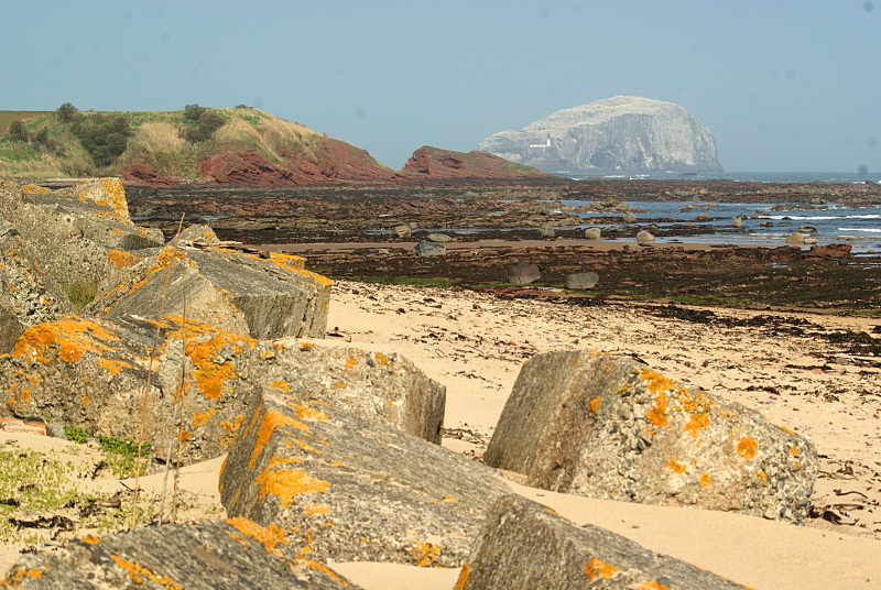 View from the beach